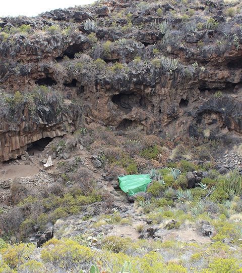 yacimiento_los_gomeros_3 yacimiento_los_gomeros_3